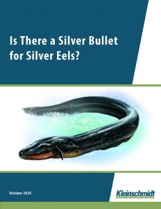 Silver Bullet for Silver Eels