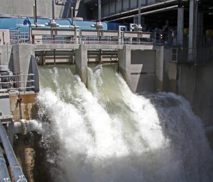 Cowlitz Falls